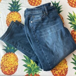 Torrid Skinny Jeans